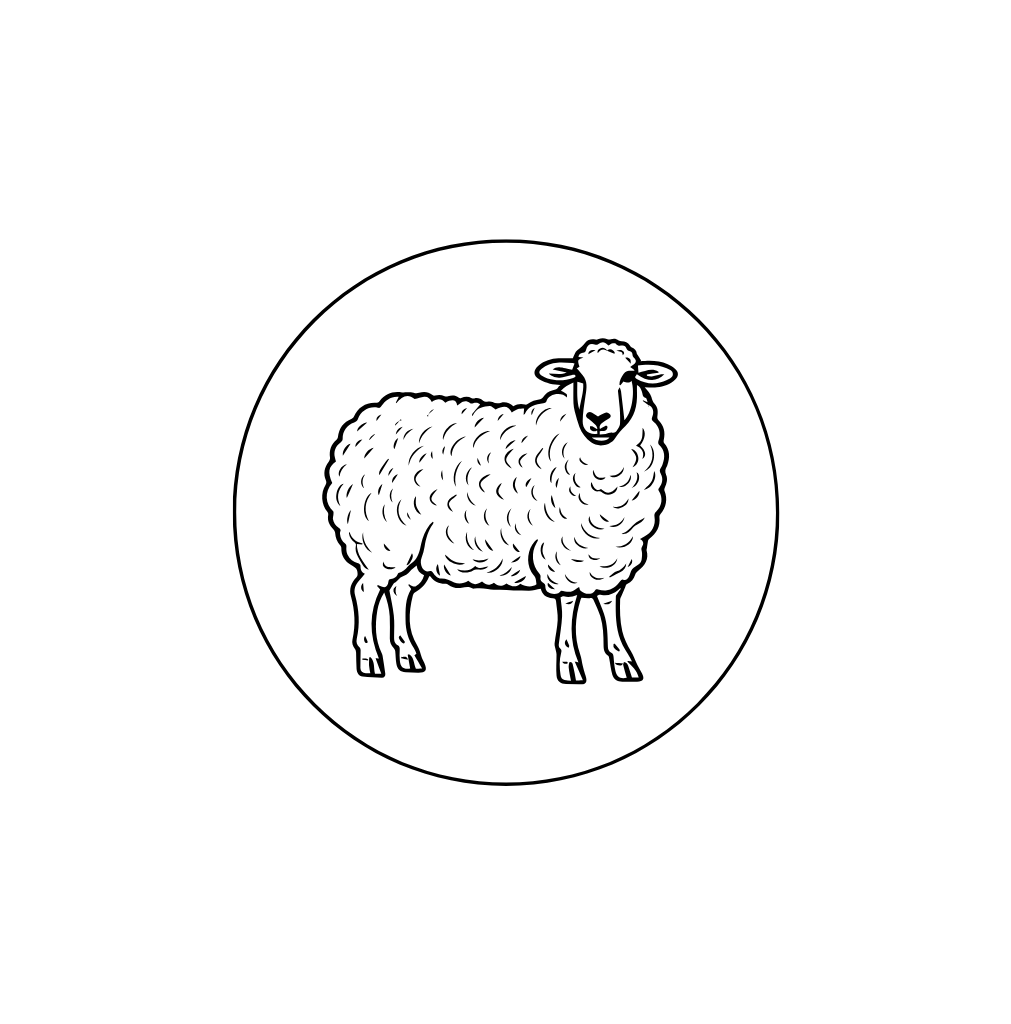 Ms Wool